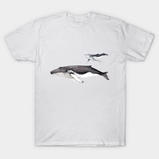 Humpback whale and baby T-Shirt